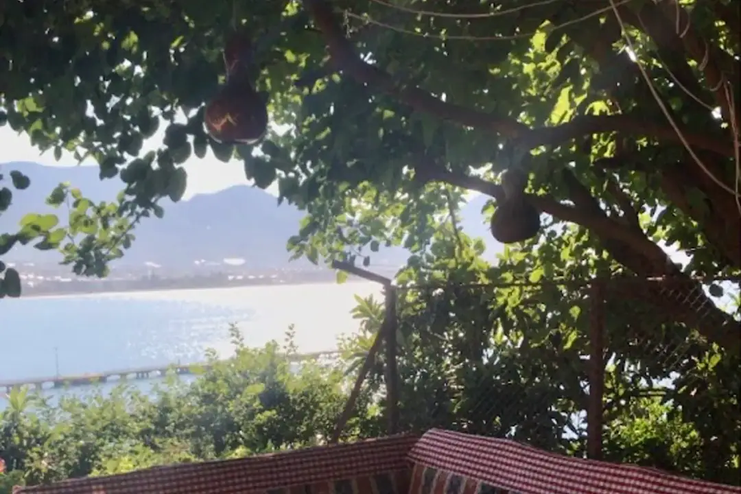 Seval Ablanın Yeri